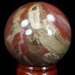 Colorful Petrified Wood Sphere #36963-1